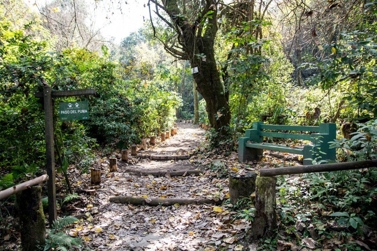 Jardín Botánico