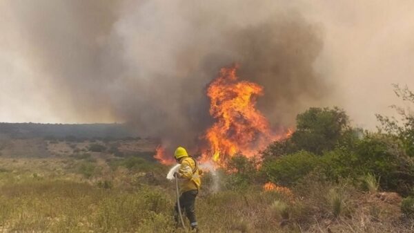 riesgo de incendios en Catamarca